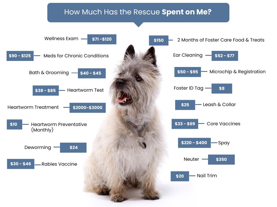 Costs of Rescuing a CCTR Dog