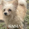 Kasia