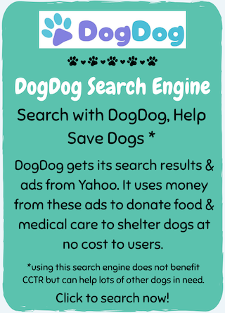 PP-DogDog Search1