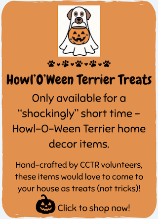 PP-Howl-O-Ween Terrier Treats1