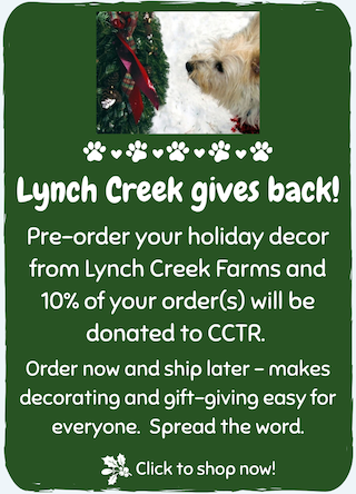 PP-Lynch Creek