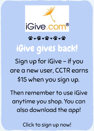 PP-iGive