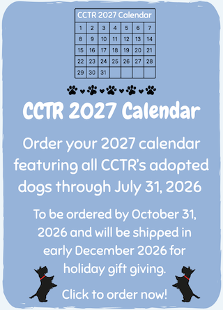 PP-Calendar blue